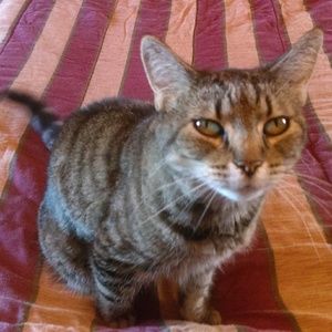 Meet your Posher, Pat